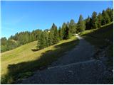 Forni di Sopra - Malga Varmost